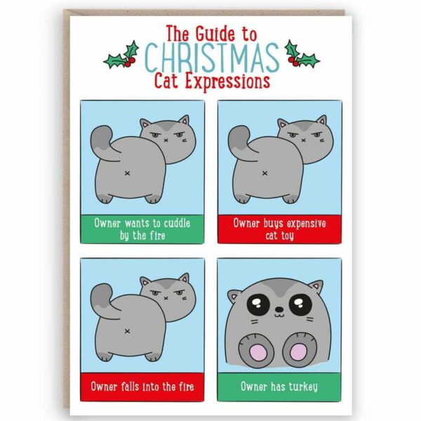 The Guide To Christmas Cat Expressions Christmas Card