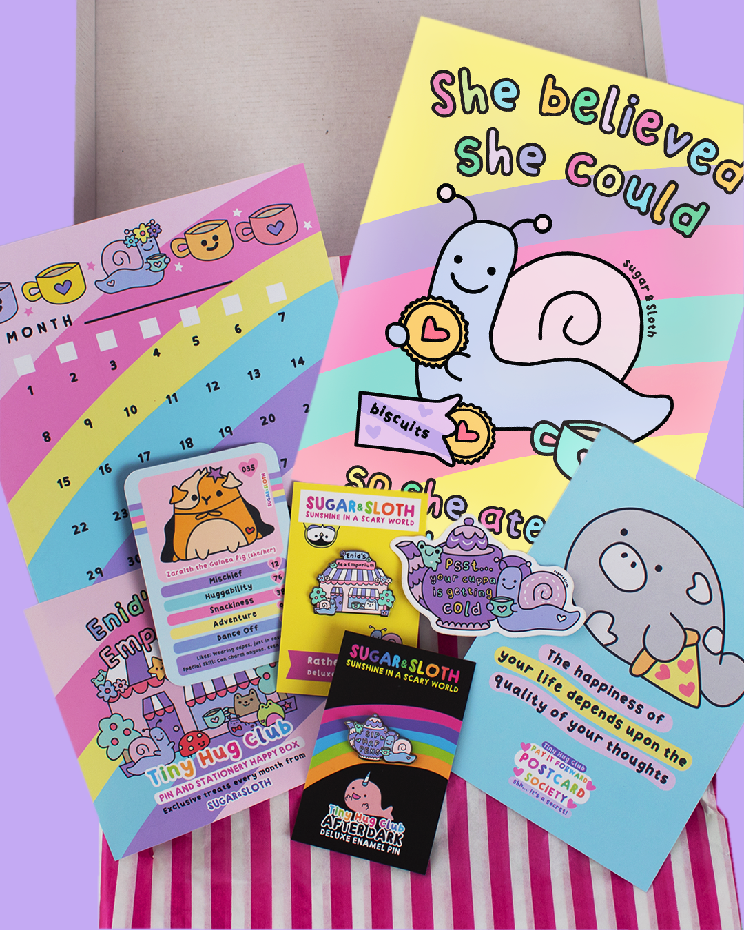 Tiny Hug Club: The Rainbow Box of Happiness Monthly Subscription - Best Bits